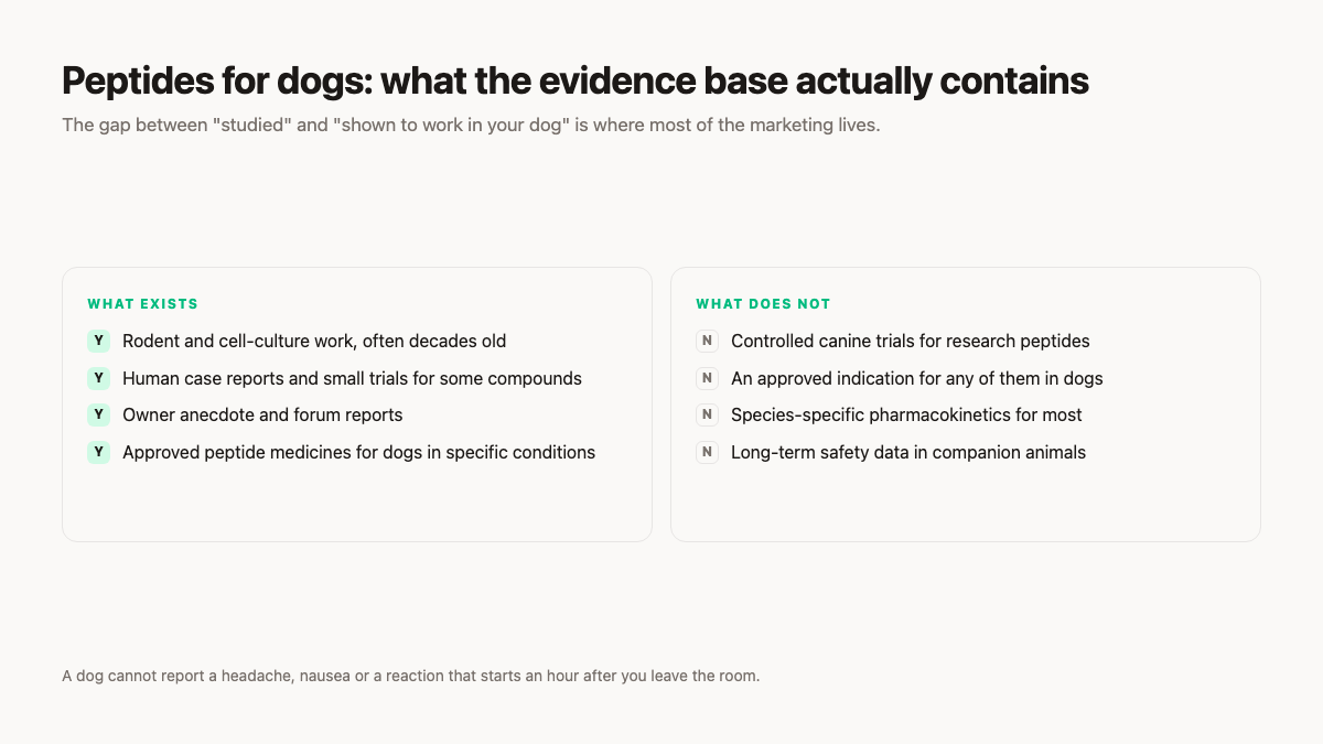 Peptides for dogs: what the evidence base contains and what it does not, including no controlled canine trials