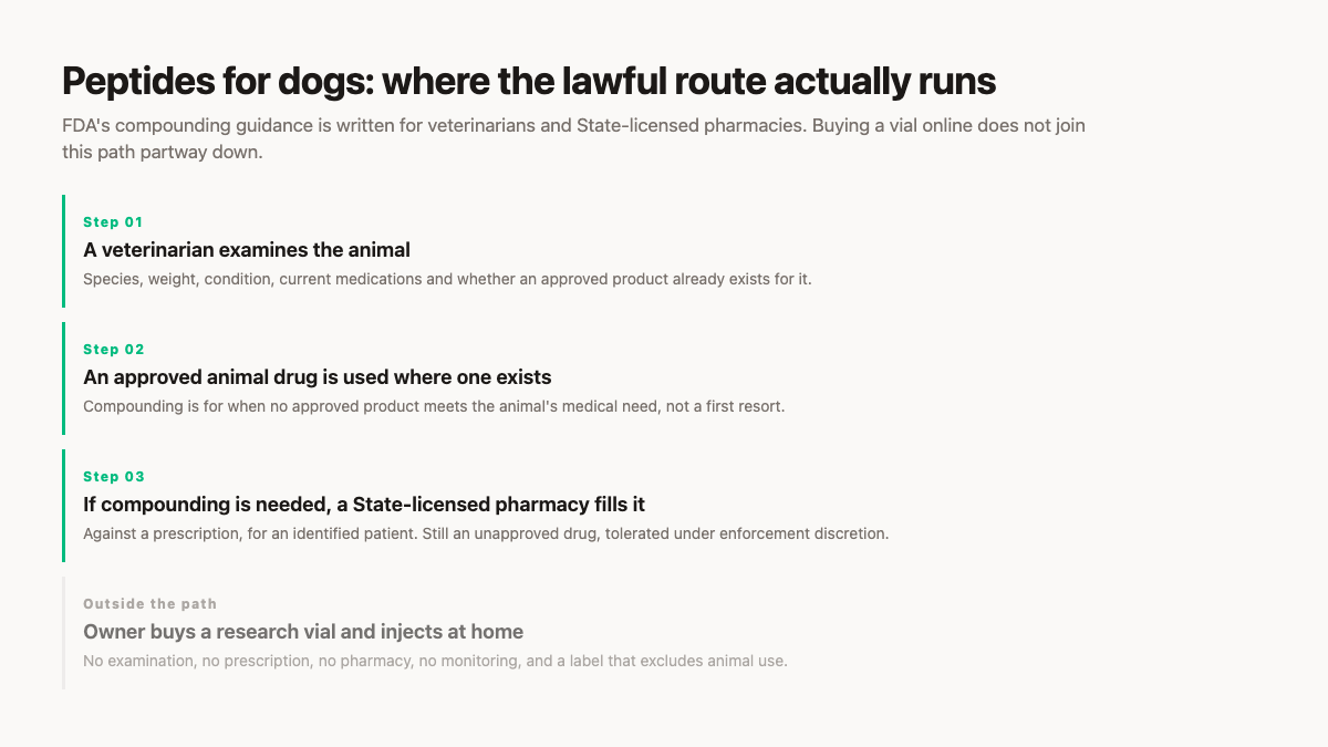 Peptides for dogs: the lawful route from veterinary exam to a State-licensed compounding pharmacy