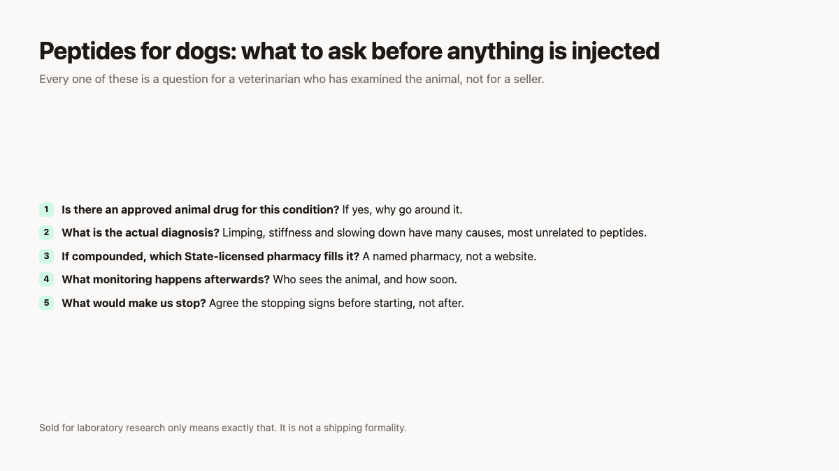 Peptides for dogs: five questions to ask a veterinarian before anything is injected